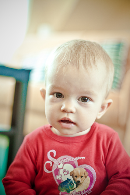 _MG_4496 _MG_4496