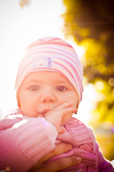 _MG_6094 _MG_6094