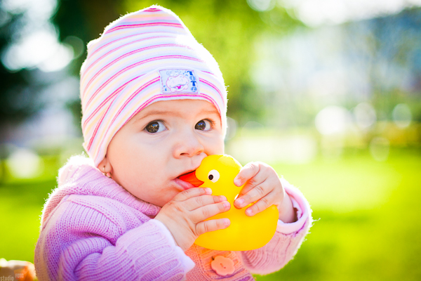 _MG_6113 _MG_6113